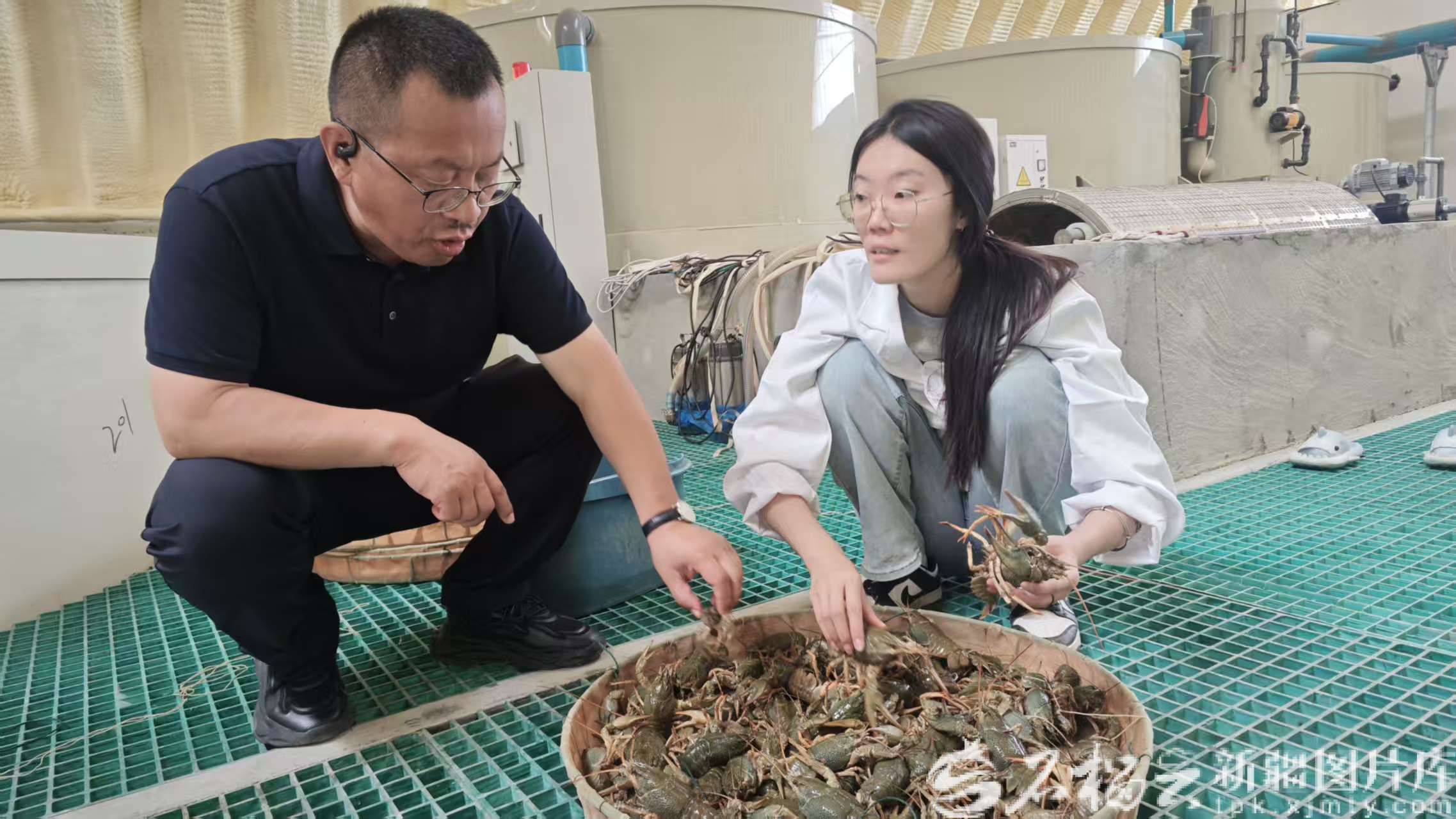 mmexport1762344951977