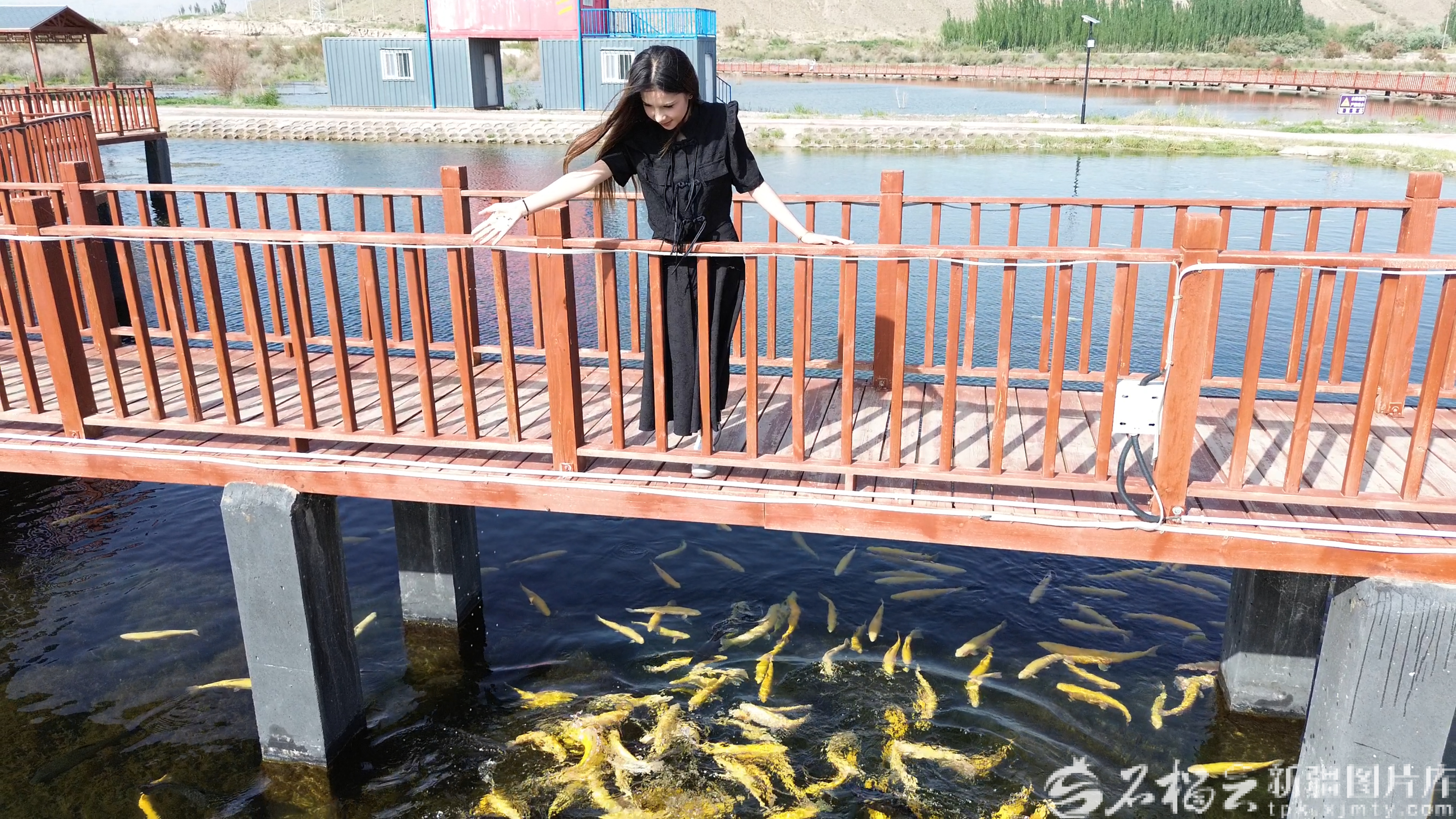 mmexport1770301135228