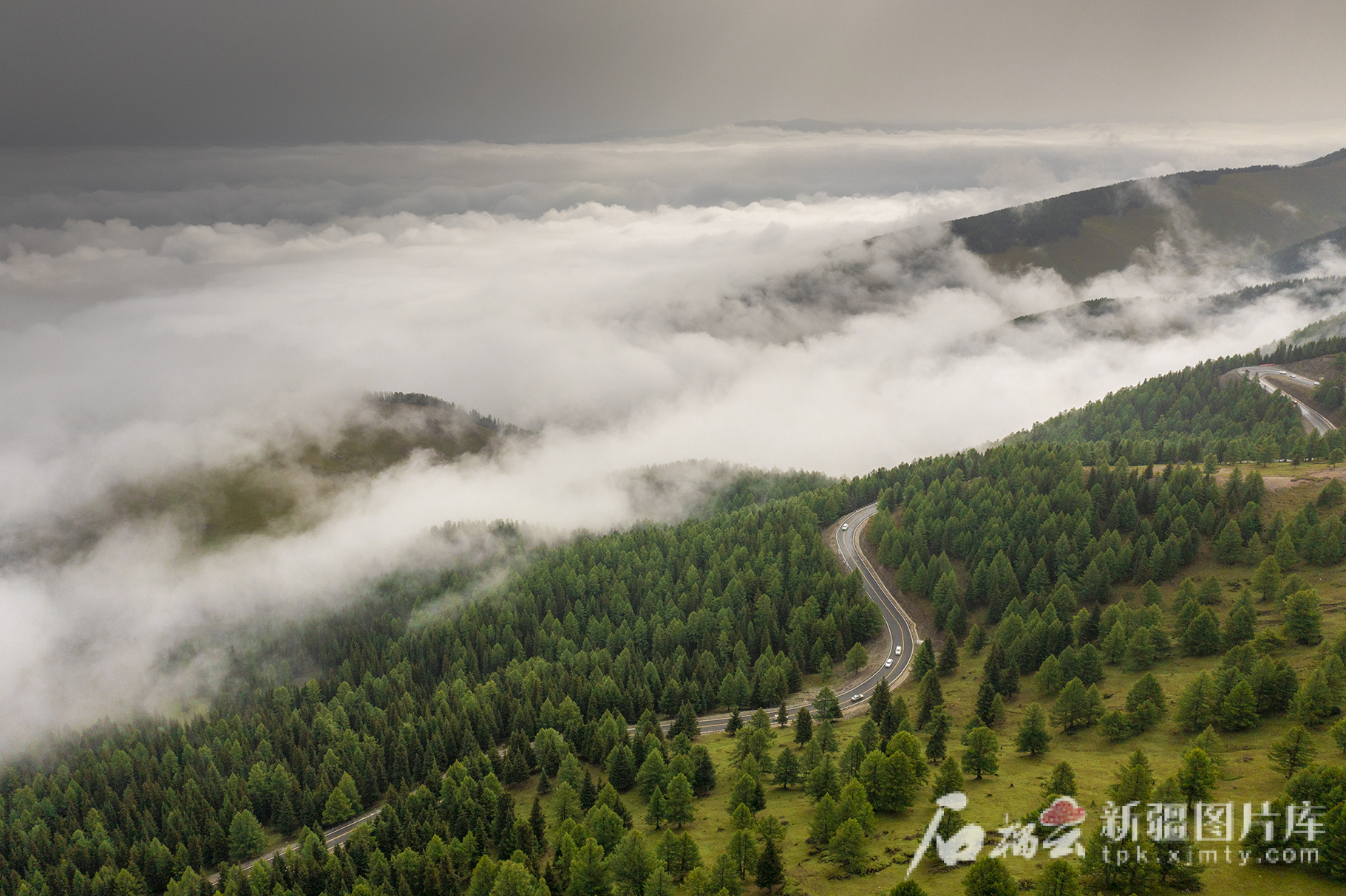 mmexport1750232970541