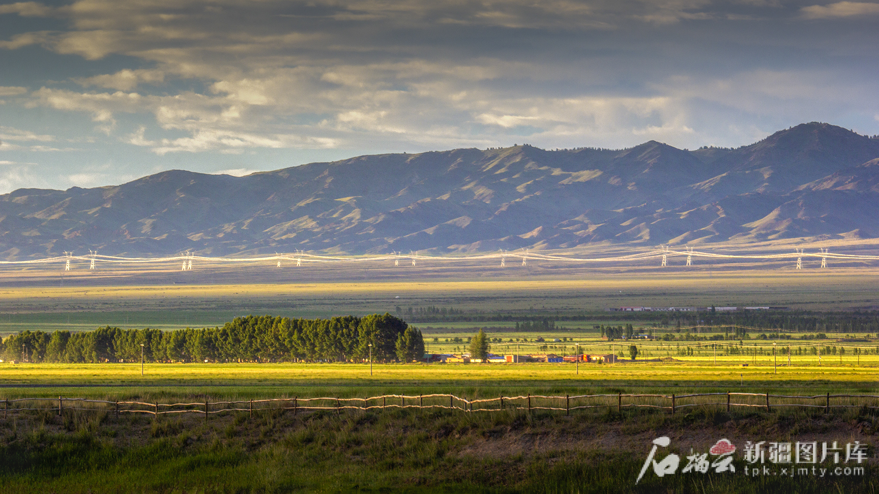 mmexport1750233072282