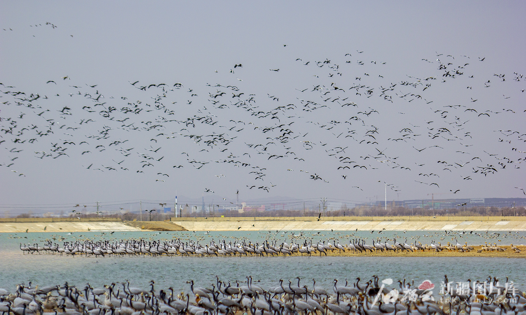 mmexport1750232980229