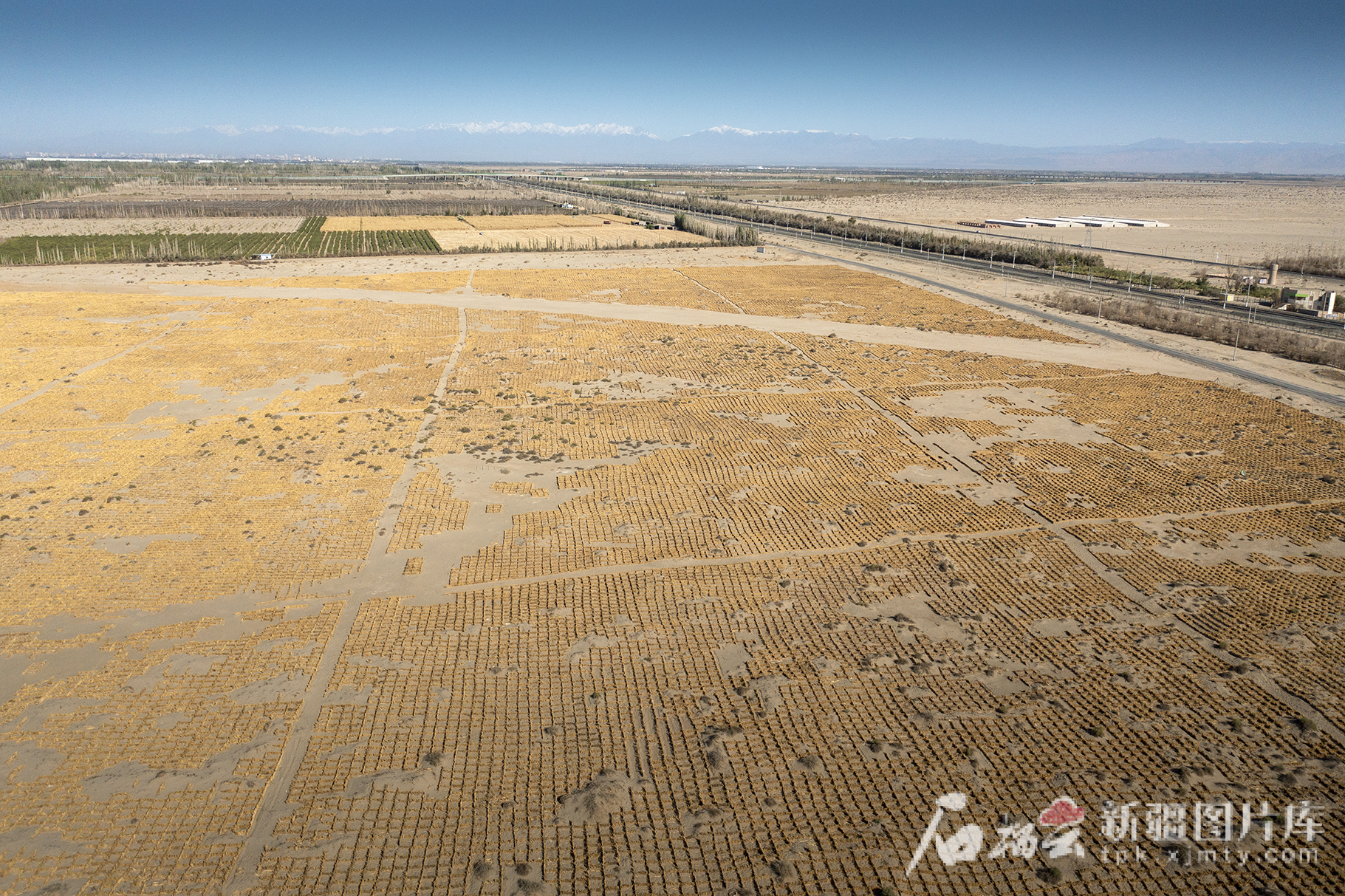 mmexport1750233084284