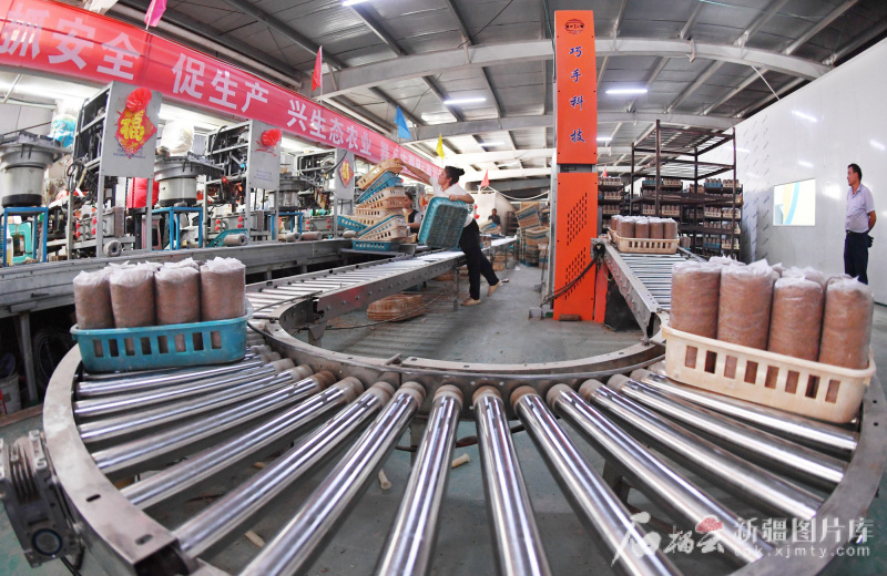 工人在疏勒縣“魯疆情”食用菌生態(tài)科技示范園生產(chǎn)車間里加工菌棒。