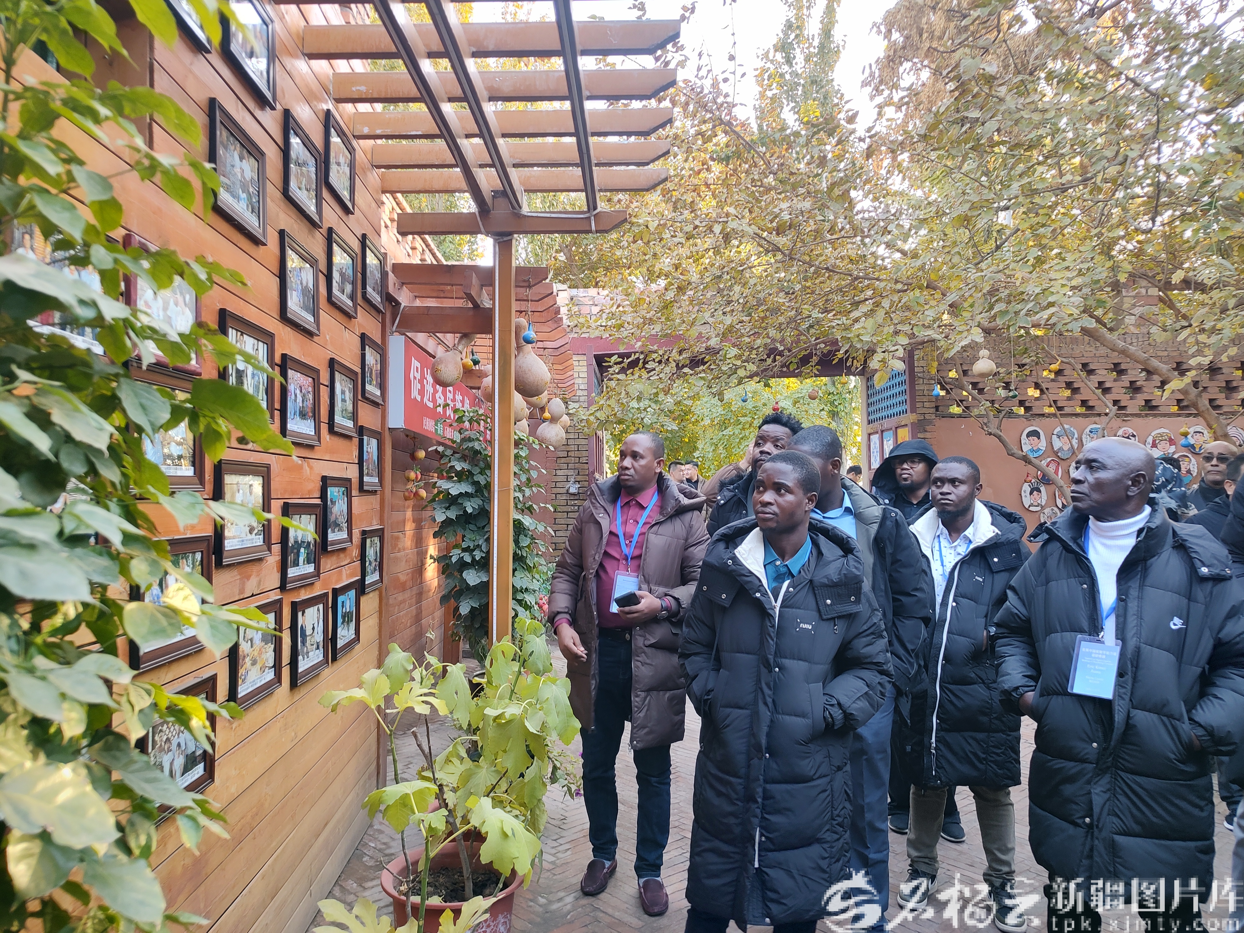 IMG_20251112_171103336_HDR