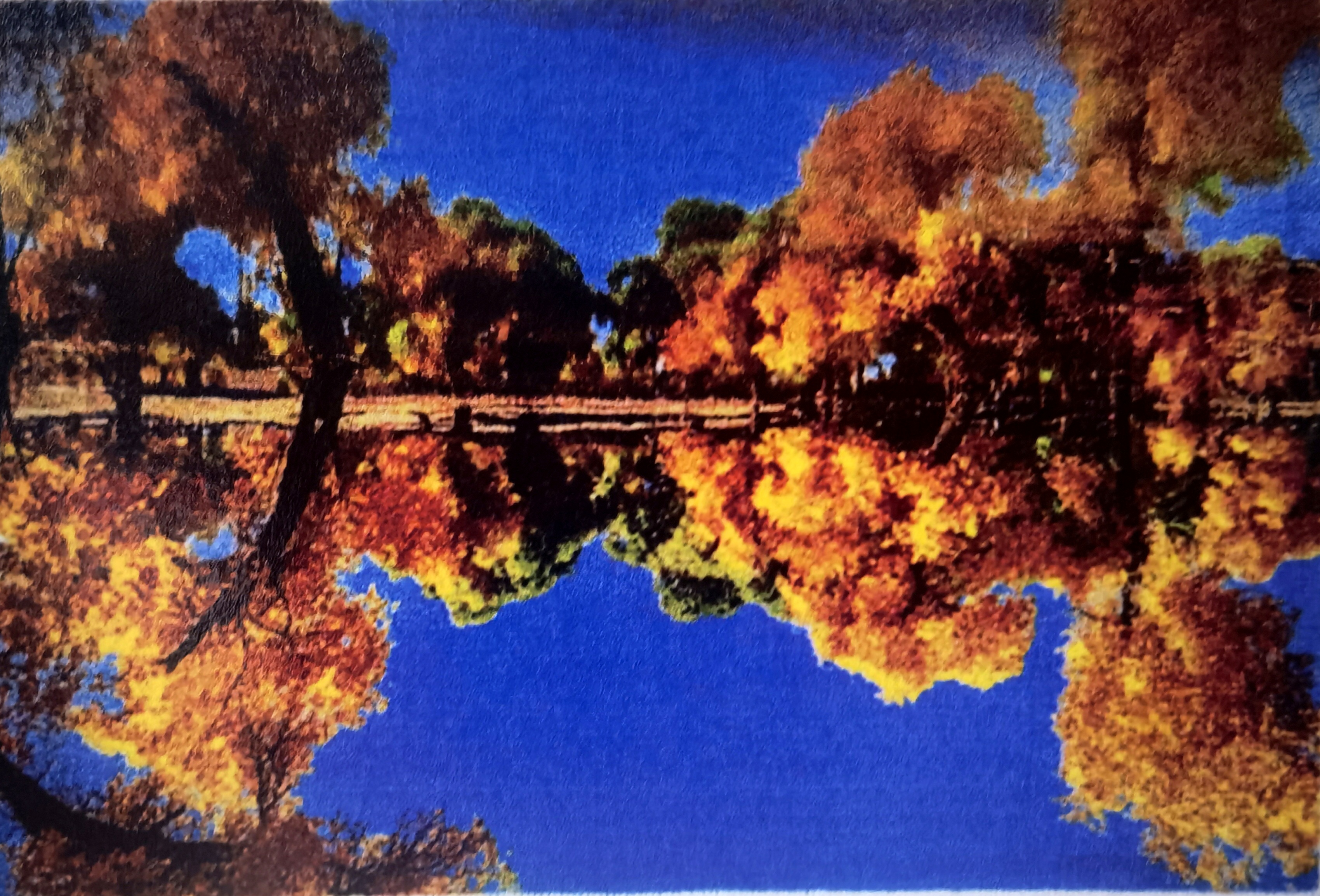 IMG_20250808_115359_edit_80906426031404