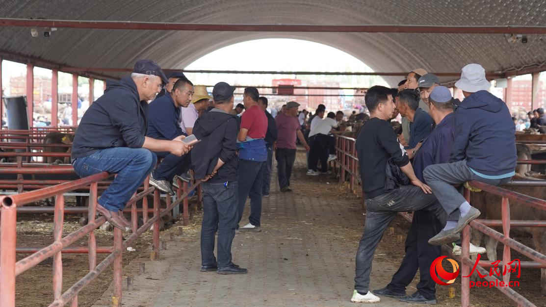 黃公巴扎的活畜交易區(qū)。人民網(wǎng) 李龍攝