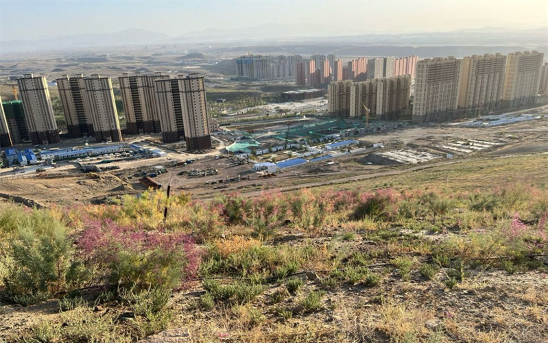 烏魯木齊大泉湖煤田火區(qū)治理后，地表植被得以恢復(fù)。新疆應(yīng)急管理廳供圖