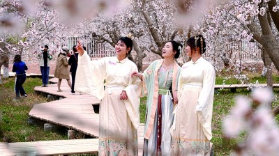 【文化中國(guó)行】在新疆尋找春天 【文化中國(guó)行】在新疆尋找春天